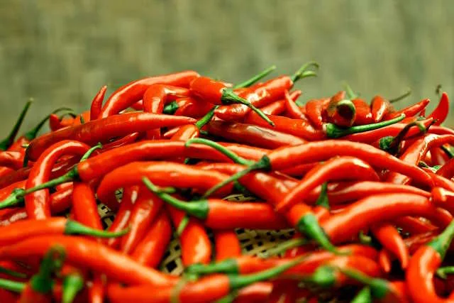 Chilli Pepers