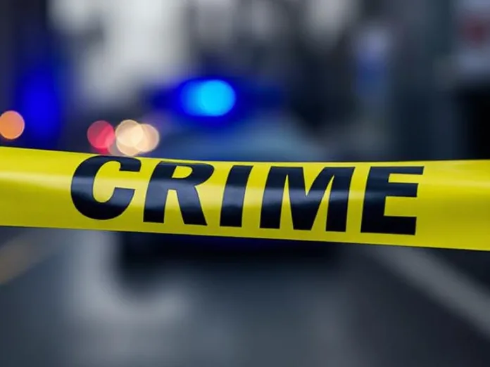 Police find human remains suspected to be of missing journalist and partner