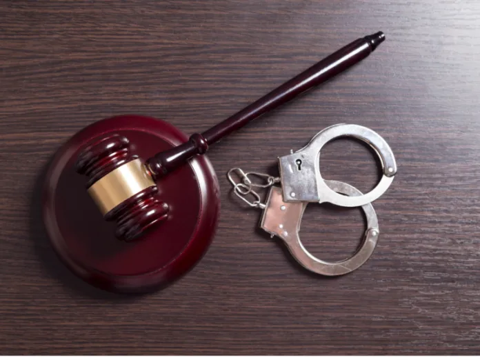 Verdict in Nicci Jansen van Rensburg farm murder case welcomed