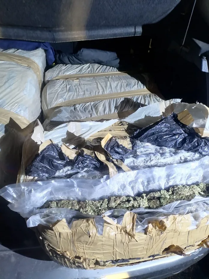 Police Seize R470,000 in Dagga Following N2 Chase in Knysna 1 583706497 1265109968973974 5775494589756232975 n