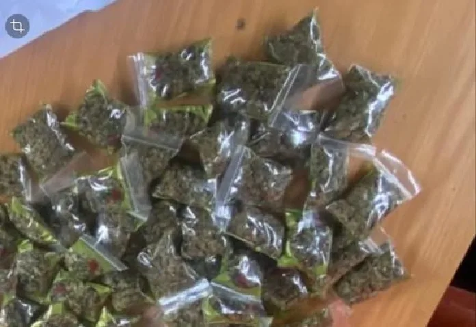 Limpopo Police Intensify Anti-Drug Efforts with Dual Dagga Busts 1 588475892 1269763938508577 843645009987635023 n