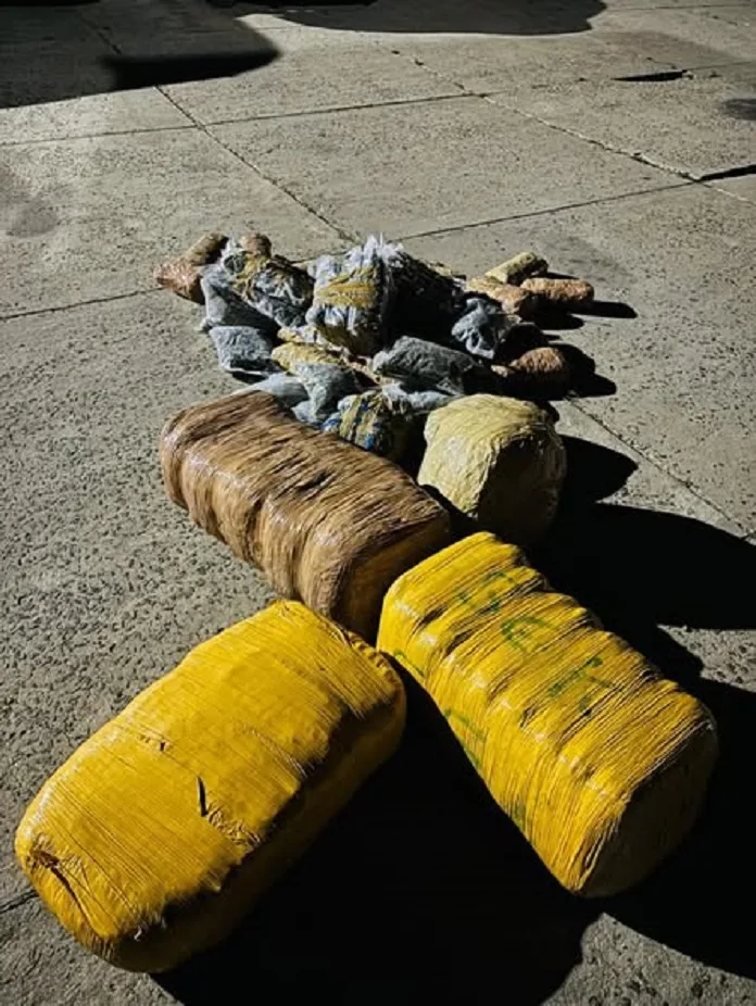 Police Net R500,000 Dagga Haul and Arrest Two in Ermelo Intelligence Operation 1 588633352 1272973521520952 8177166535309841386 n