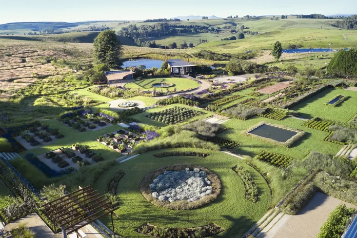 BRAHMAN HILLS WINS BEST OF PMB & MIDLANDS READERS’ CHOICE AWARD 2025