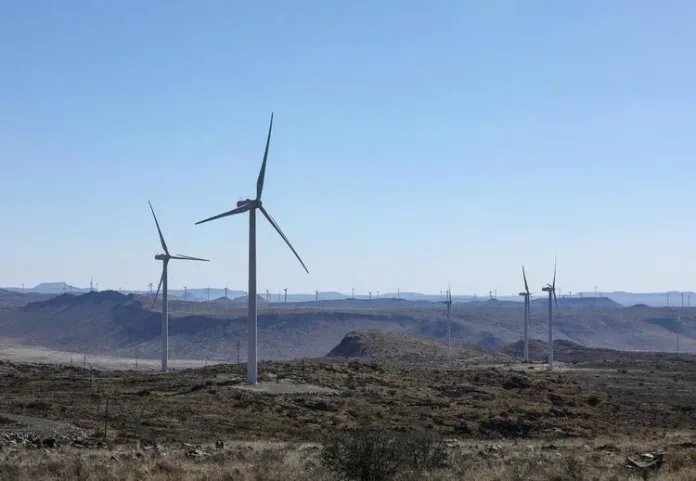 Chinese-built wind power project empowers locals, improves lives in South Africa