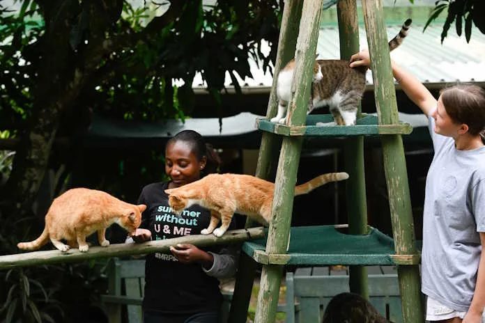 Nomathembu Gumede, animal handler and volunteer Rachel Rabie at the Durban and Pietermaritzburg branch of the Animal Anti-Cruelty League (AACL).