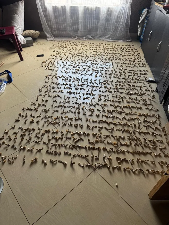 593808122 1277937397691231 3447746402620075366 n