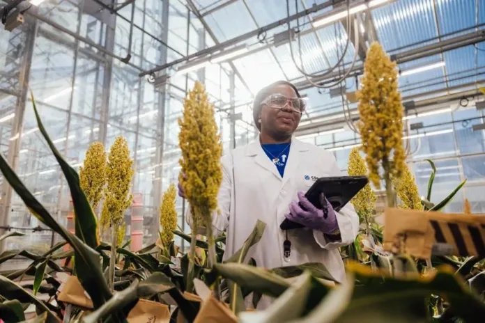 Advancing agricultural research: Corteva’s strategic collaboration with research institutions in South Africa