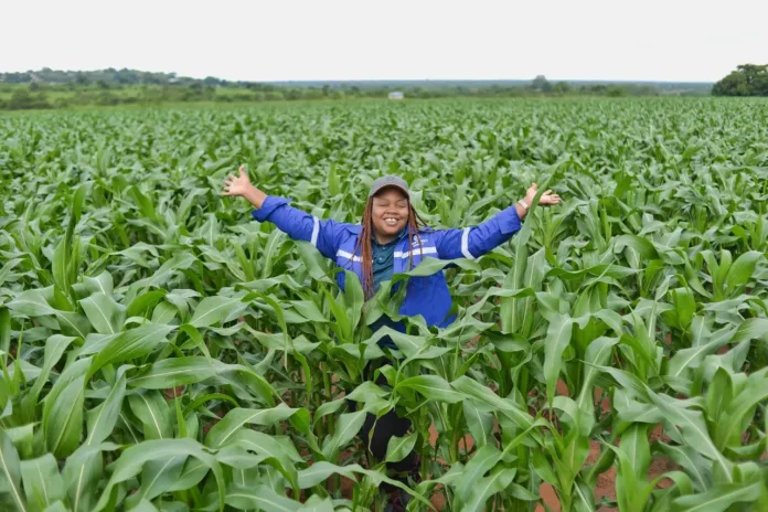 The new year and beyond – strengthening South African agriculture with Corteva Agriscience