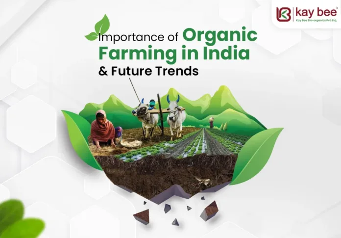 Importance of Organic Farming in India: Growth, Benefits & Future Trends