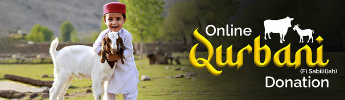 5 Best Online Qurbani Services for 2025