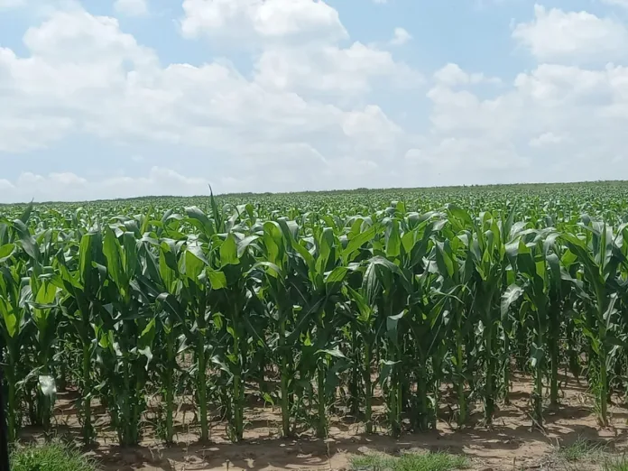 Earth Day: How agriculture is shaping a more sustainable future