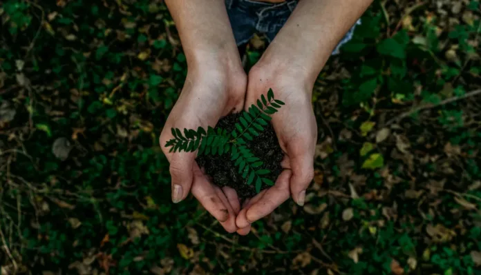 Earth Day 2026: How food banking can cut emissions and feed millions