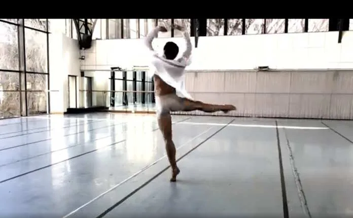 Radix - Mario Gaglione (Italy/South Africa) - JOMBA! Digital Open Horizons 2025