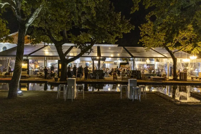Q&A with Changemakers Honoured at 2026 Wine Harvest Commemorative Event
