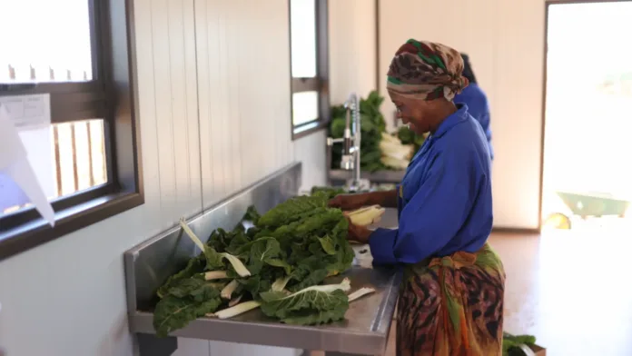 From Seed to Success: Growing a new generation of farmers