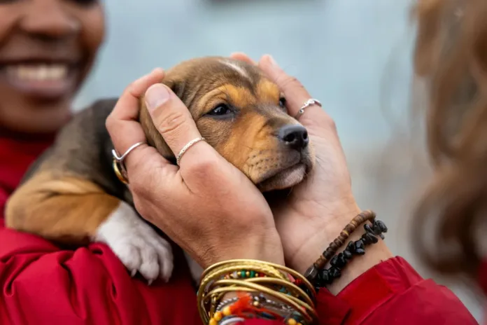 From Crisis to Compassion: How Communities Can Be Part of the Rescue Movement