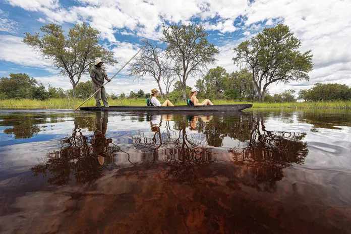 Feline Fields Lodge - Botswana