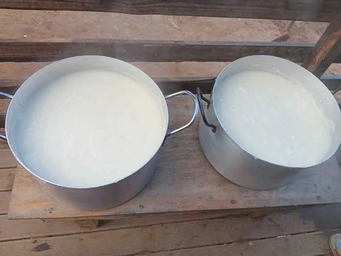 Knysna Soup Kitchen - Ascot Tours
