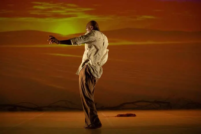 JOMBA! @ The Market Theatre celebrates world-class contemporary dance in Johannesburg. Image supplied by PR company.