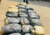 Limpopo Police Seize 196kg of Dagga: Witty Morategi Malikana Remanded in Custody Limpopo Police Seize 196kg of Dagga: Witty Morategi Malikana Remanded in Custody