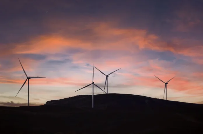 Eco-Hubs set to enable the next generation of green entrepreneurs in the Central Karoo