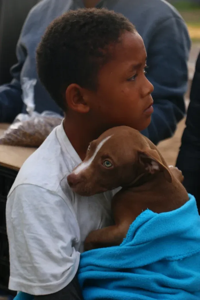 TEARS Animal Rescue and AfriPaw join forces to bring veterinary care to Vrygrond