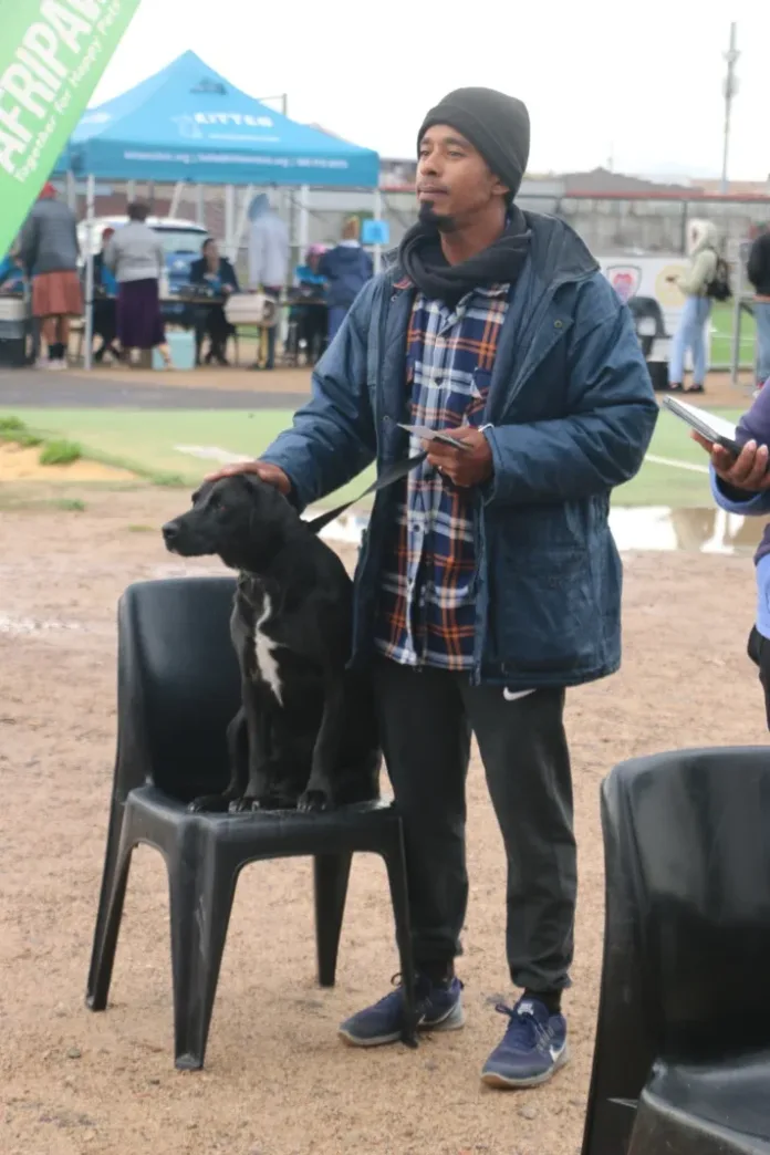 Free Wills, Lasting Love: How National Wills Week Can Help You Protect the Animals You Care About