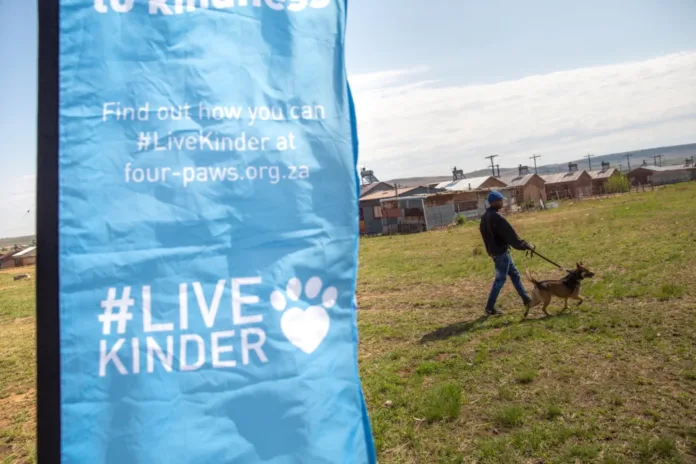 Stronger Together to End Rabies