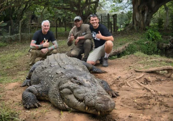 KZN South Coast’s celebrity croc Henry gets another international screen appearance