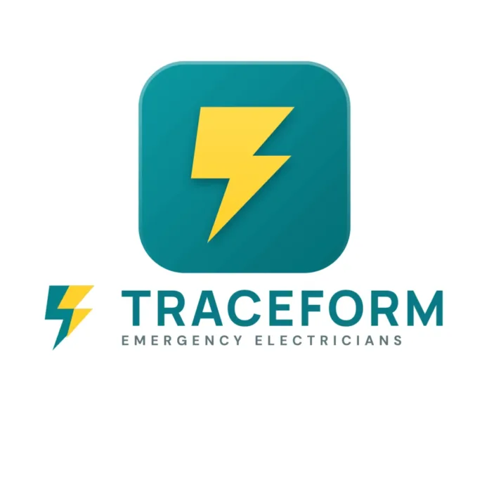 Ali Vahidi Builds Service-Focused Businesses Through TRACEFORM and HIO Agency