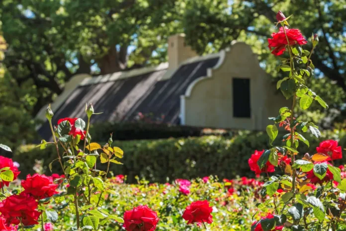 Explore Vergelegen’s spectacular spring gardens