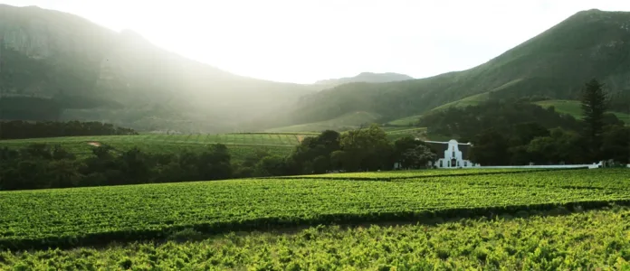 Groot Constantia Builds on Legacy as New CEO is Appointed