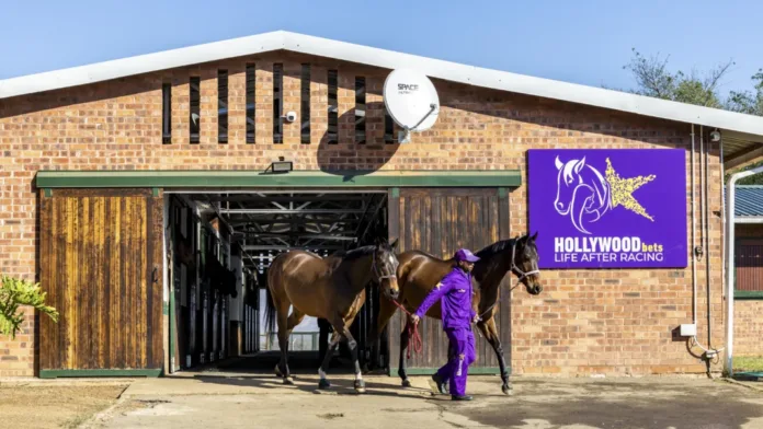 RETIRED RACEHORSES ENJOY SECOND LIFE THANKS TO HOLLYWOODBETS