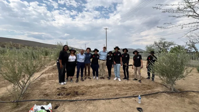 Brandvalley and Rietkloof Wind Farm Community Roots Project moves from launch to action as Central Karoo youth build pathways to green enterprise