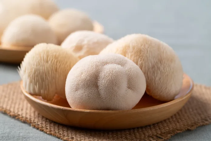 Lion’s Mane: the mushroom supplement everyone is talking about, but few understand
