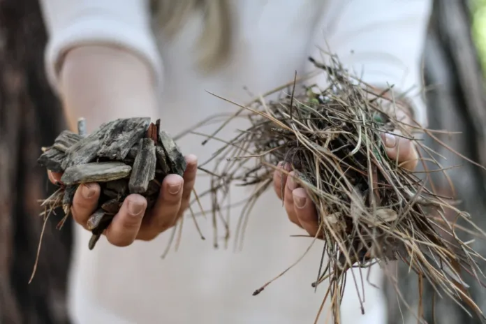 A hotter, drier summer is coming. Here’s how to get your garden Garden Day ready