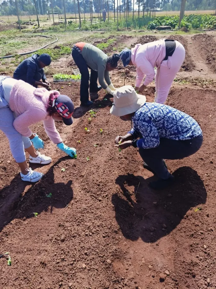 SOUTH AFRICA’S NUTRITION CRISIS STARTS WITH WHAT PEOPLE CAN AFFORD