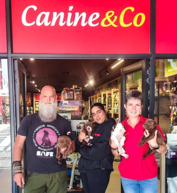 Paws for Joy: Fill a tummy this festive season