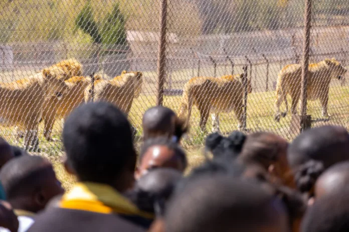 Kids Say the Darndest Things About Animals